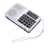 lcj-portable-fm-am-shortwave-multiband-radio-receiver-with-micro-tf-card-and-usb-driver-mp3-player-usb-charging-cable-1000mah-rechargeable-li-ion-battery-l-258-sliver image no. 8 buy in Dubai from Astronom at best price shipping worldwide 