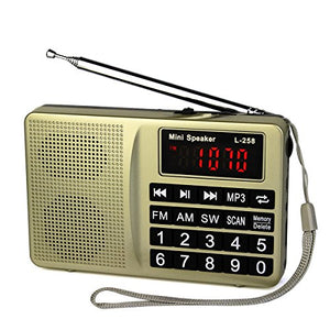 retekess-l-258-am-fm-shortwave-transistor-radio-support-micro-tf-card-and-usb-driver-aux-input-mp3-player-usb-charging-cable-1000mah-rechargeable-li-ion-batterygold image no. 1 buy in Dubai from Astronom at best price shipping worldwide by LCJ