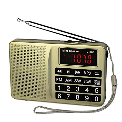 retekess-l-258-am-fm-shortwave-transistor-radio-support-micro-tf-card-and-usb-driver-aux-input-mp3-player-usb-charging-cable-1000mah-rechargeable-li-ion-batterygold image no. 1 buy in Dubai from Astronom at best price shipping worldwide by LCJ