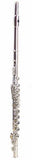 hisonic-signature-series-2810n-closed-16-hole-flute image no. 1 buy in Dubai from Astronom at best price shipping worldwide by Hisonic